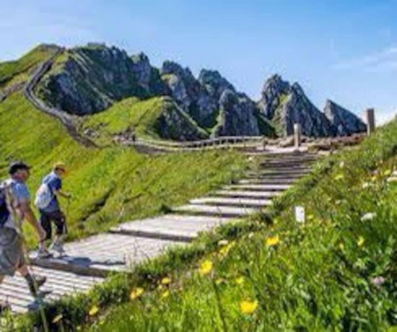 La Grange De La Gratade Villa Rochefort-Montagne Dış mekan fotoğraf